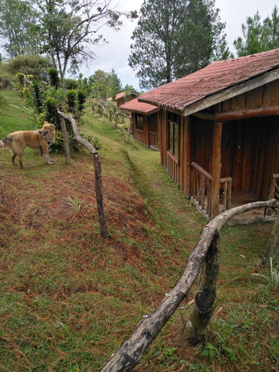Cabanas Don Camilo Albergue De Montana Cabecera de Canas Exteriér fotografie